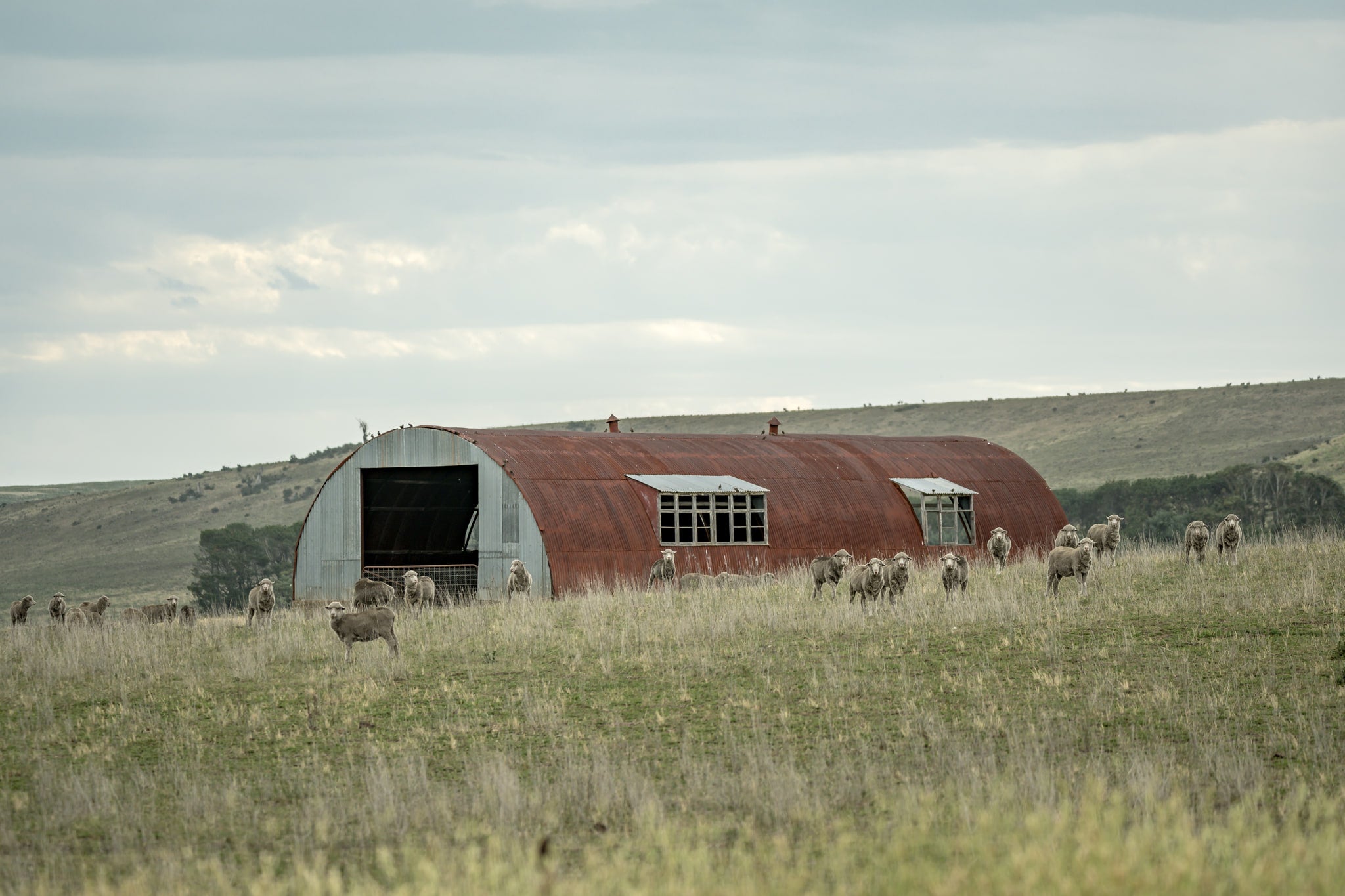 Nissen Hut Barn at A Place to Call Home, an old Nissen Hut which has found a new life as a farm shed.
