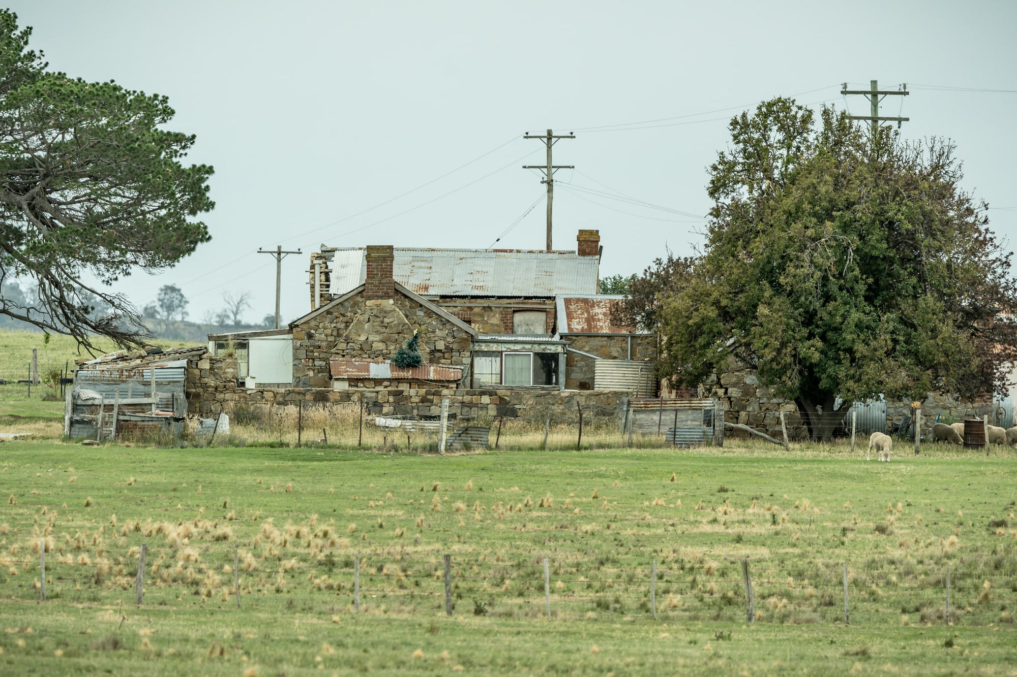 Numbla Vale Cottage at A Place to Call Home, a stone cottage sits low in open pastoral country near Numbla Vale, south-east.