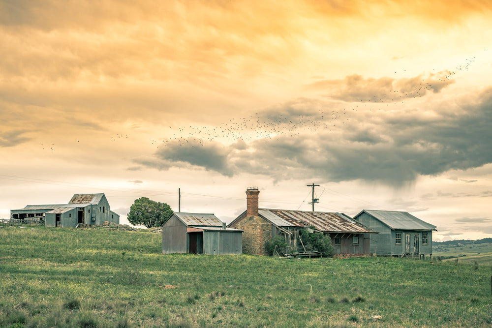 Numbla Vale Cottages & Woolshed at A Place to Call Home, a flock of birds flying above a cluster of farm workers cottages.