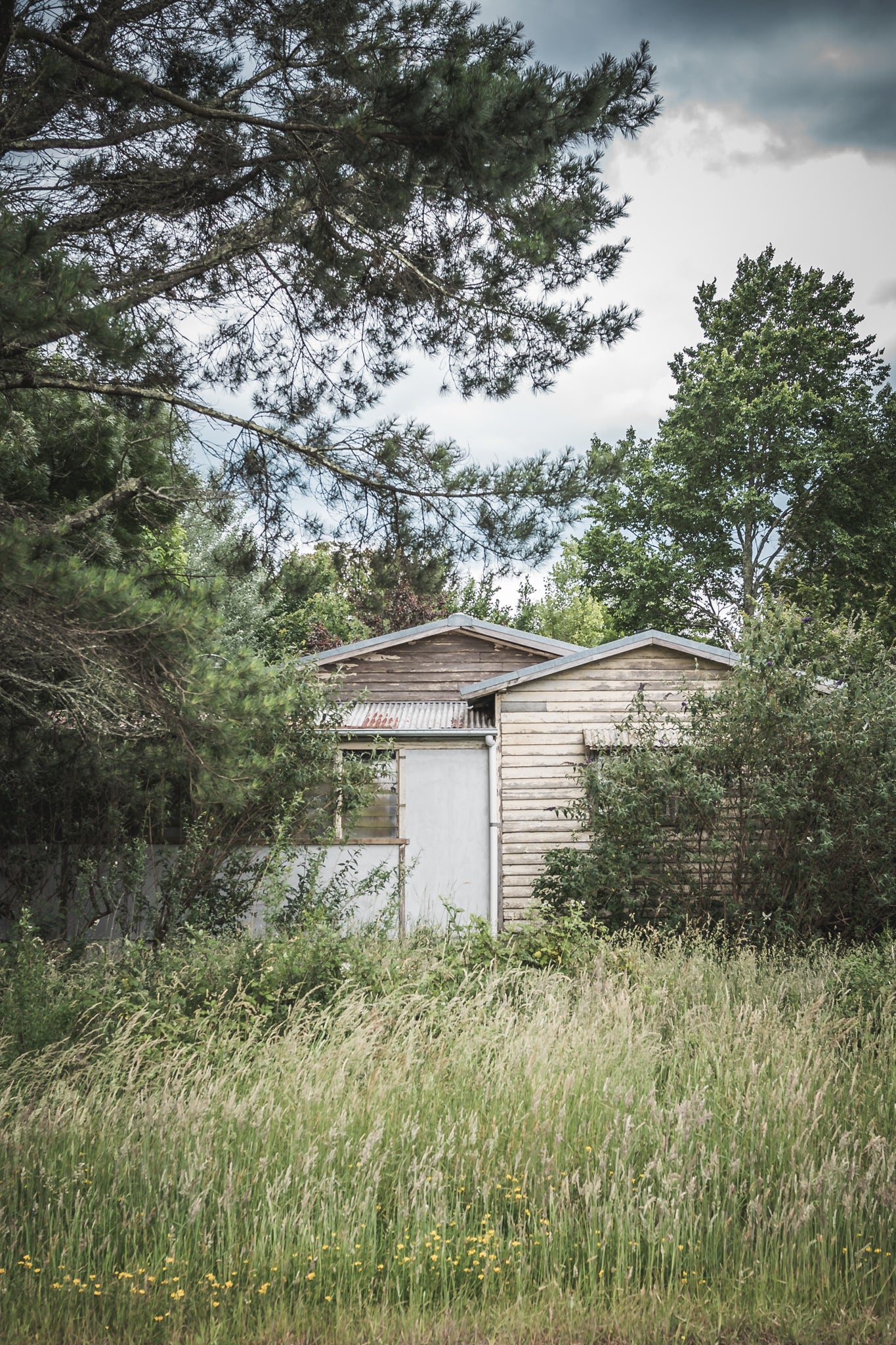 Overgrowth