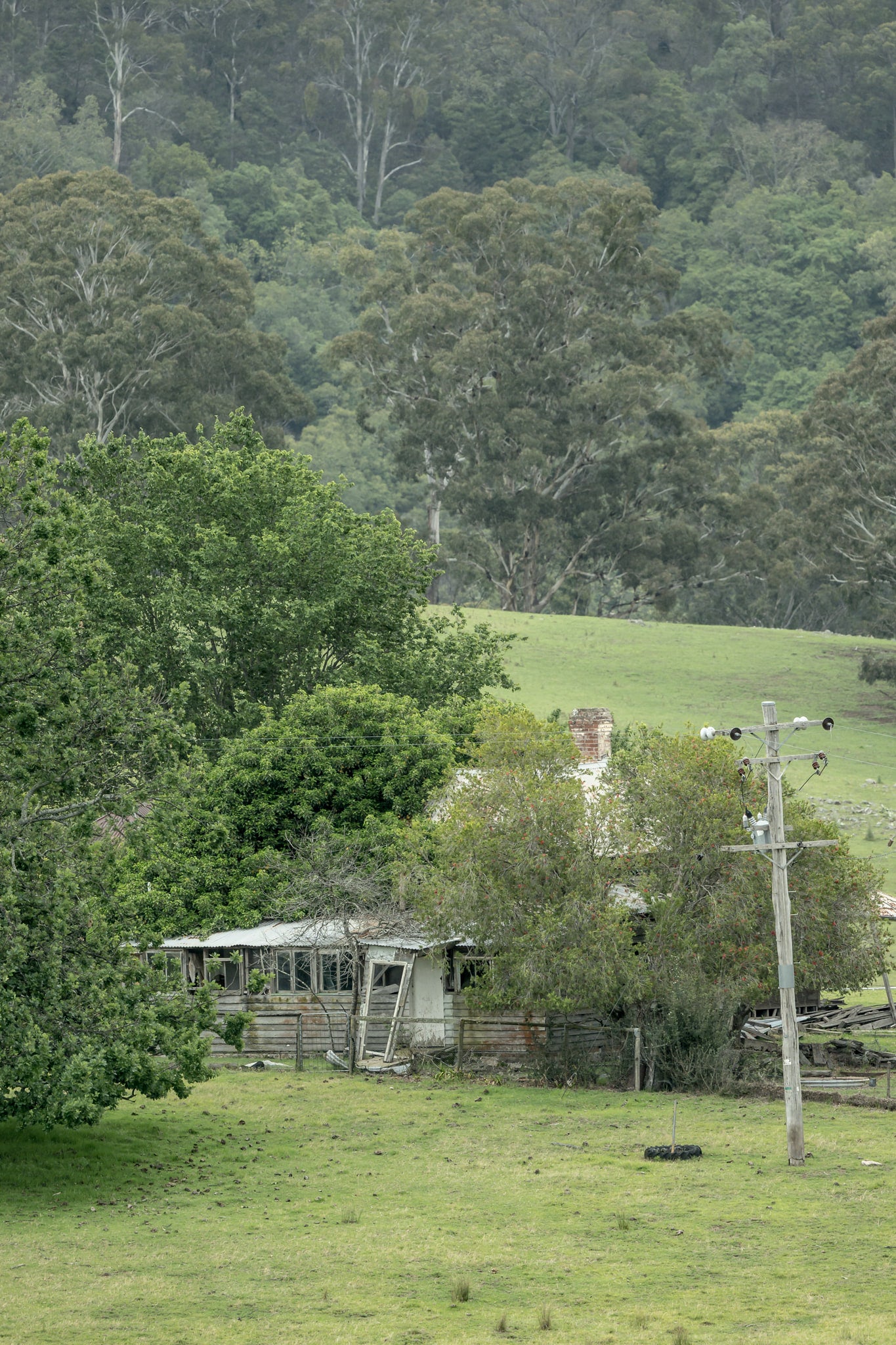 Reclaimed Home at A Place to Call Home, a weatherboard farmhouse sits low in a valley of green pasture, half-swallowed.