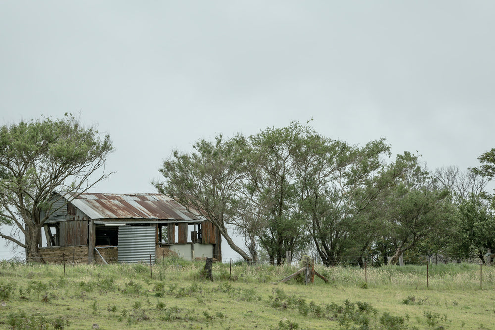 Rocky Hall Hills Hut at A Place to Call Home, a small rural structure sits on a low green rise near Rocky Hall Hills.