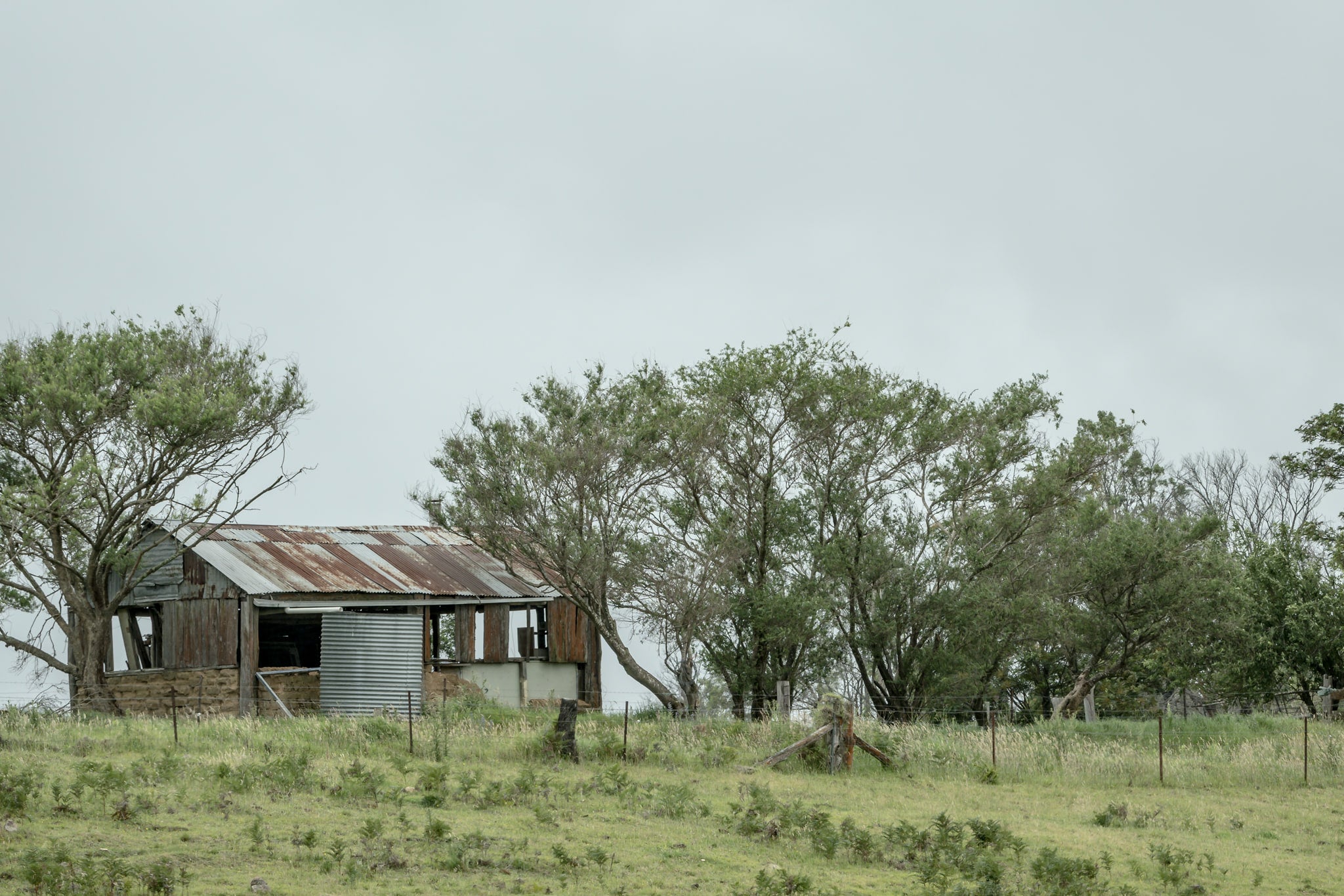 Rocky Hall Hills Hut at A Place to Call Home, a small rural structure sits on a low green rise near Rocky Hall Hills.