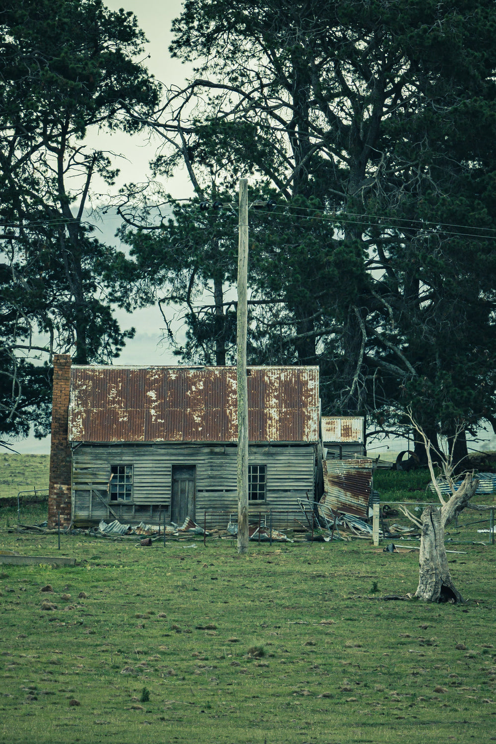 Rusted Roof at A Place to Call Home, this scene, set before imposing mature pine trees looks like it may have been a house.