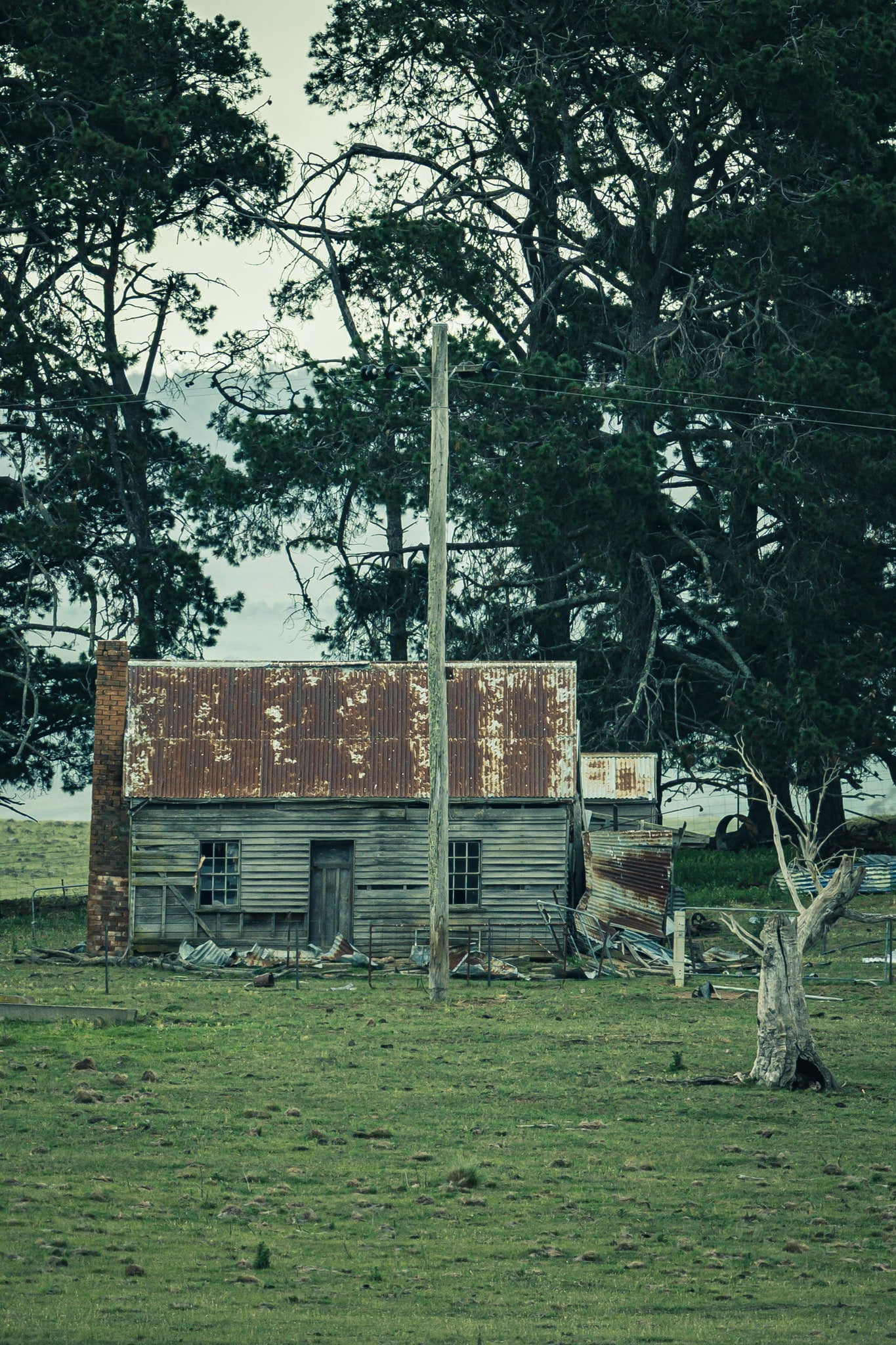 Rusted Roof at A Place to Call Home, this scene, set before imposing mature pine trees looks like it may have been a house.