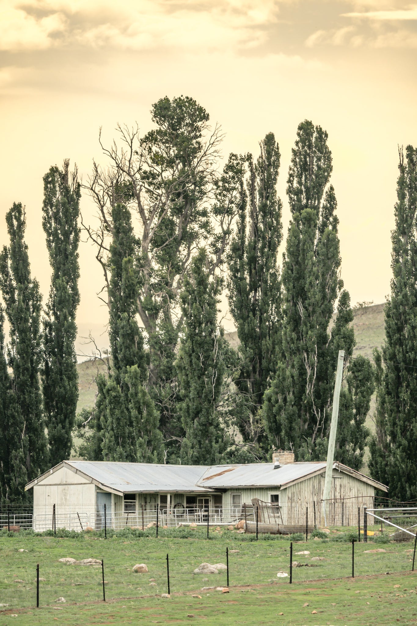 Snowy River Shearers Quarters at A Place to Call Home, a low timber and corrugated iron shearing shed sits behind steel.