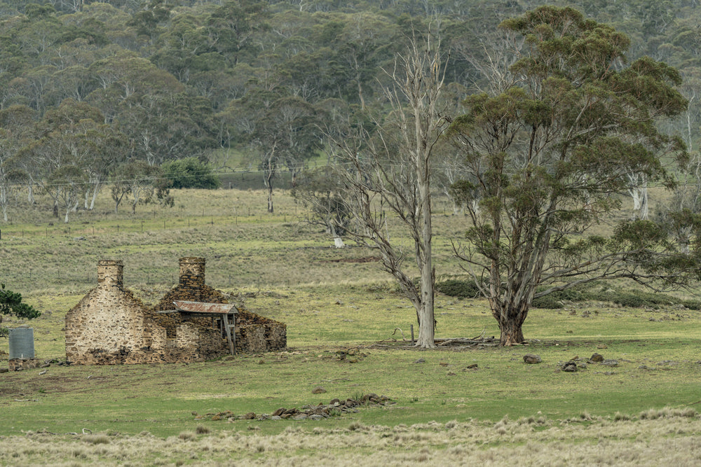 Stone Home Ruins at A Place to Call Home, a stone cottage stands roofless in green pastoral land, its thick walls still.
