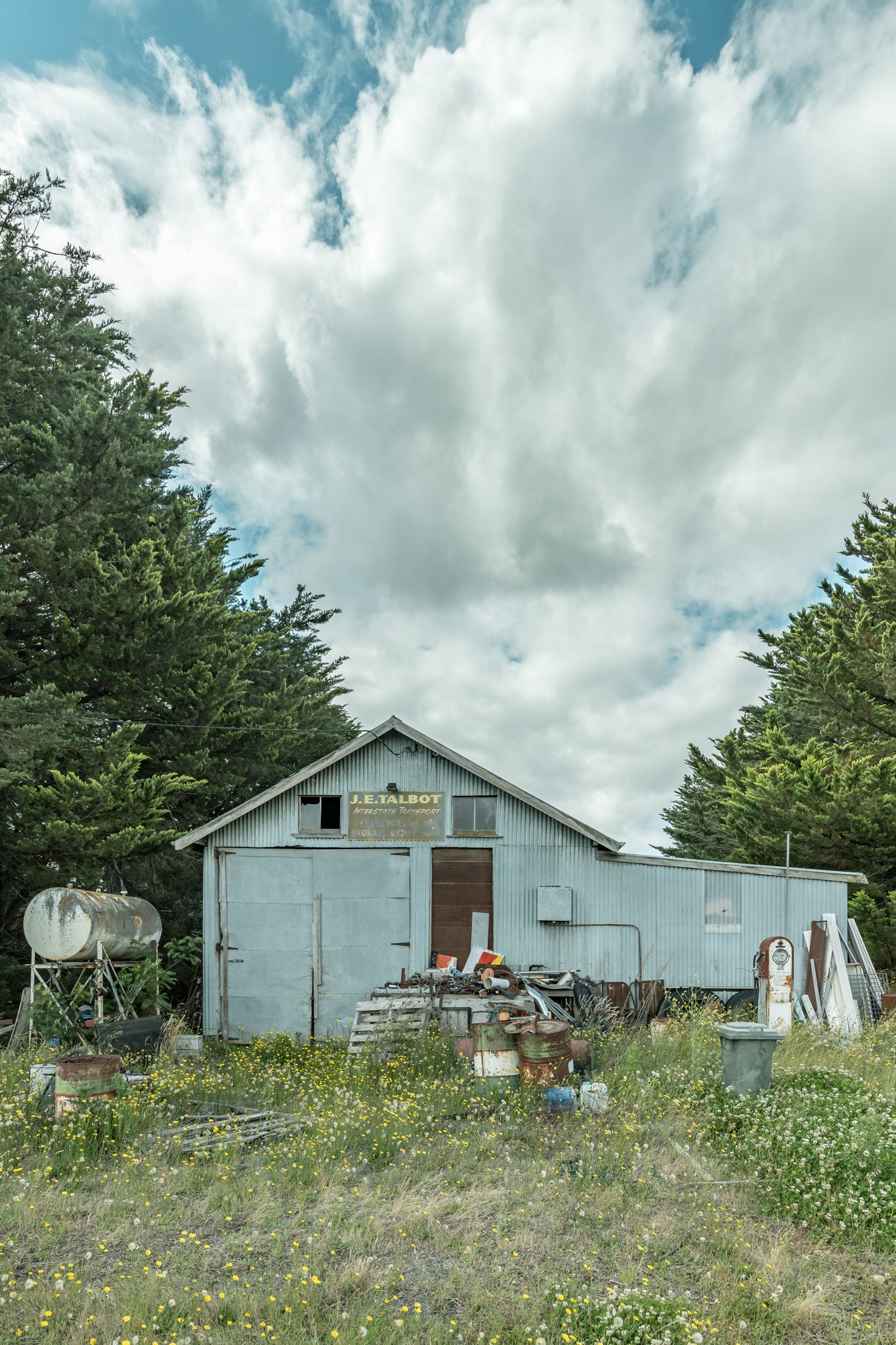 Talbots Place at A Place to Call Home, a pale blue corrugated iron shed sits in overgrown grass thick with yellow.