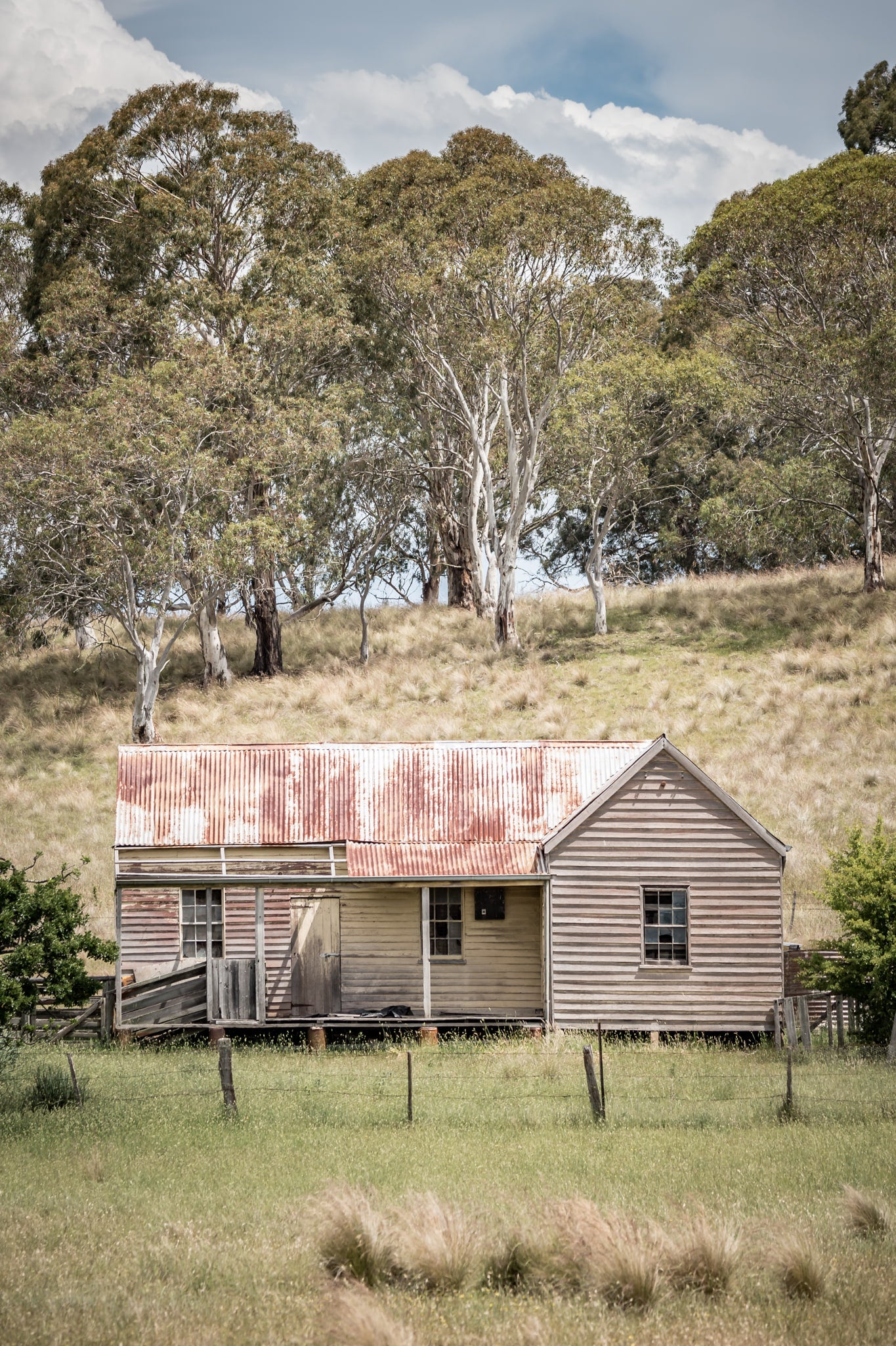 Timber Weatherboards at A Place to Call Home, an early 20th century home just outside of Cathcart.