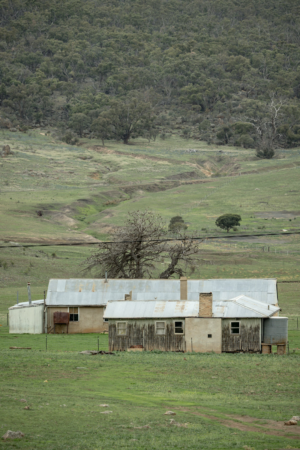 Valley Shearers Quarters at A Place to Call Home, a corrugated iron roof sits low over rendered walls and weathered timber.