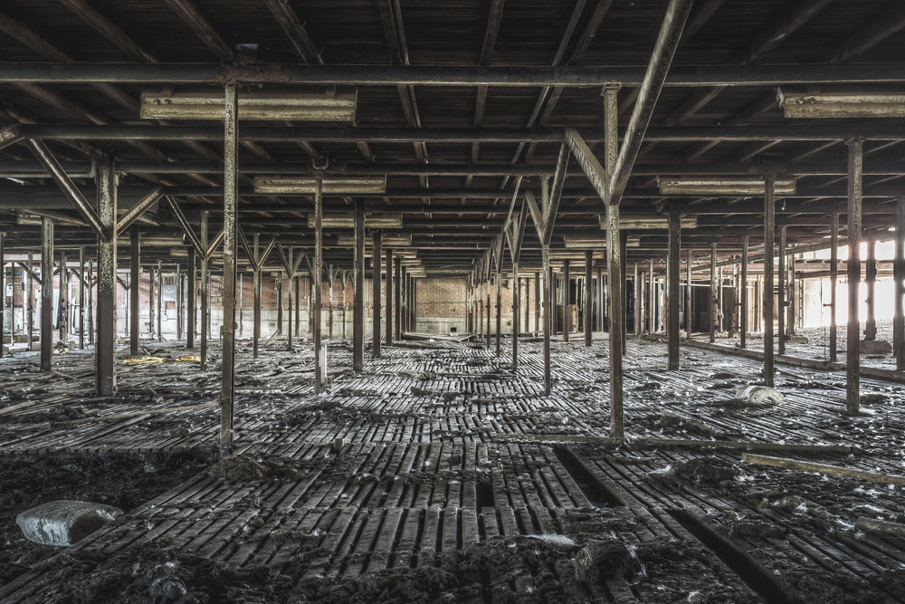 Bottom Holding Area at Blayney Abattoir, a grid of steel uprights stretches into the distance, framing the remains.