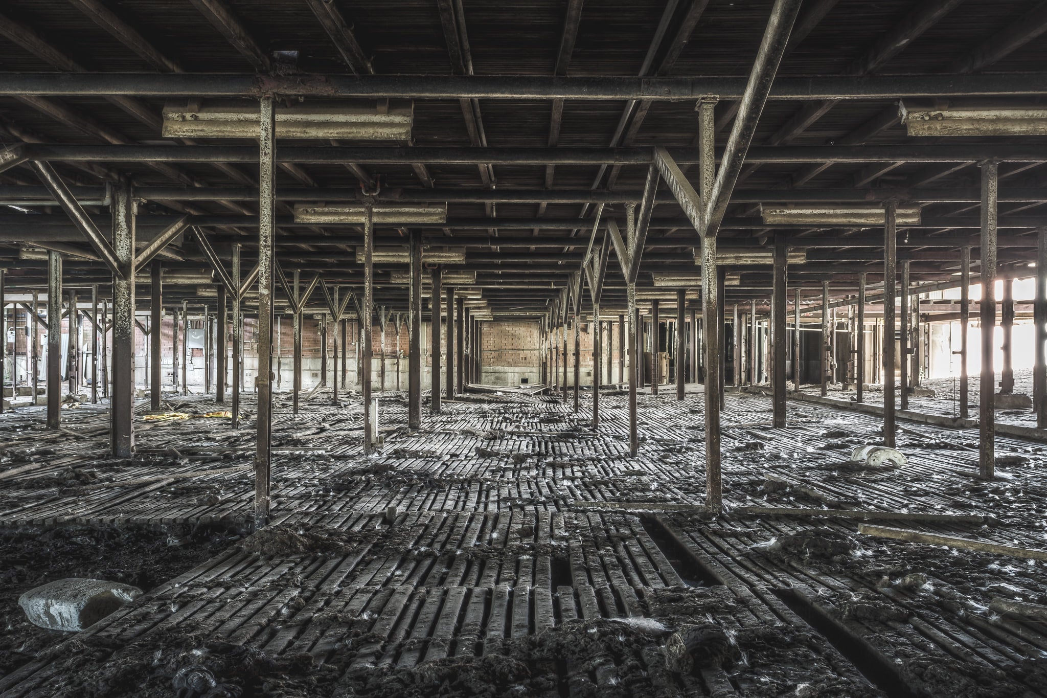 Bottom Holding Area at Blayney Abattoir, a grid of steel uprights stretches into the distance, framing the remains.