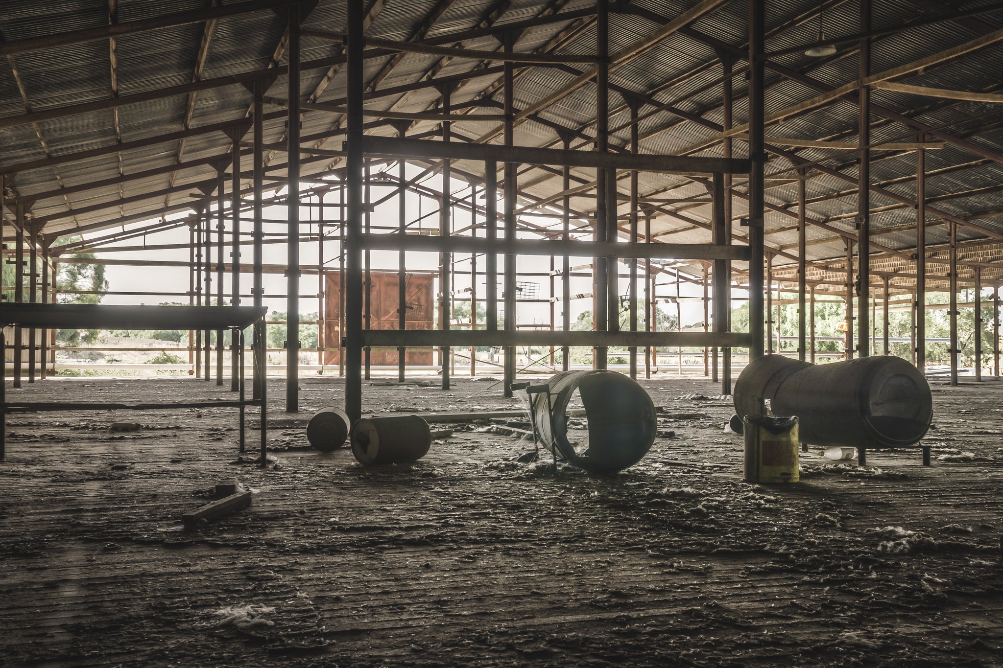 Top Holding Area at Blayney Abattoir, steel columns support a wide corrugated roof over a dirt floor thick with dried mud.