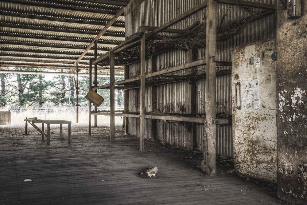 Train Line at Blayney Abattoir, corrugated iron roofing stretches over a timber-framed open bay.