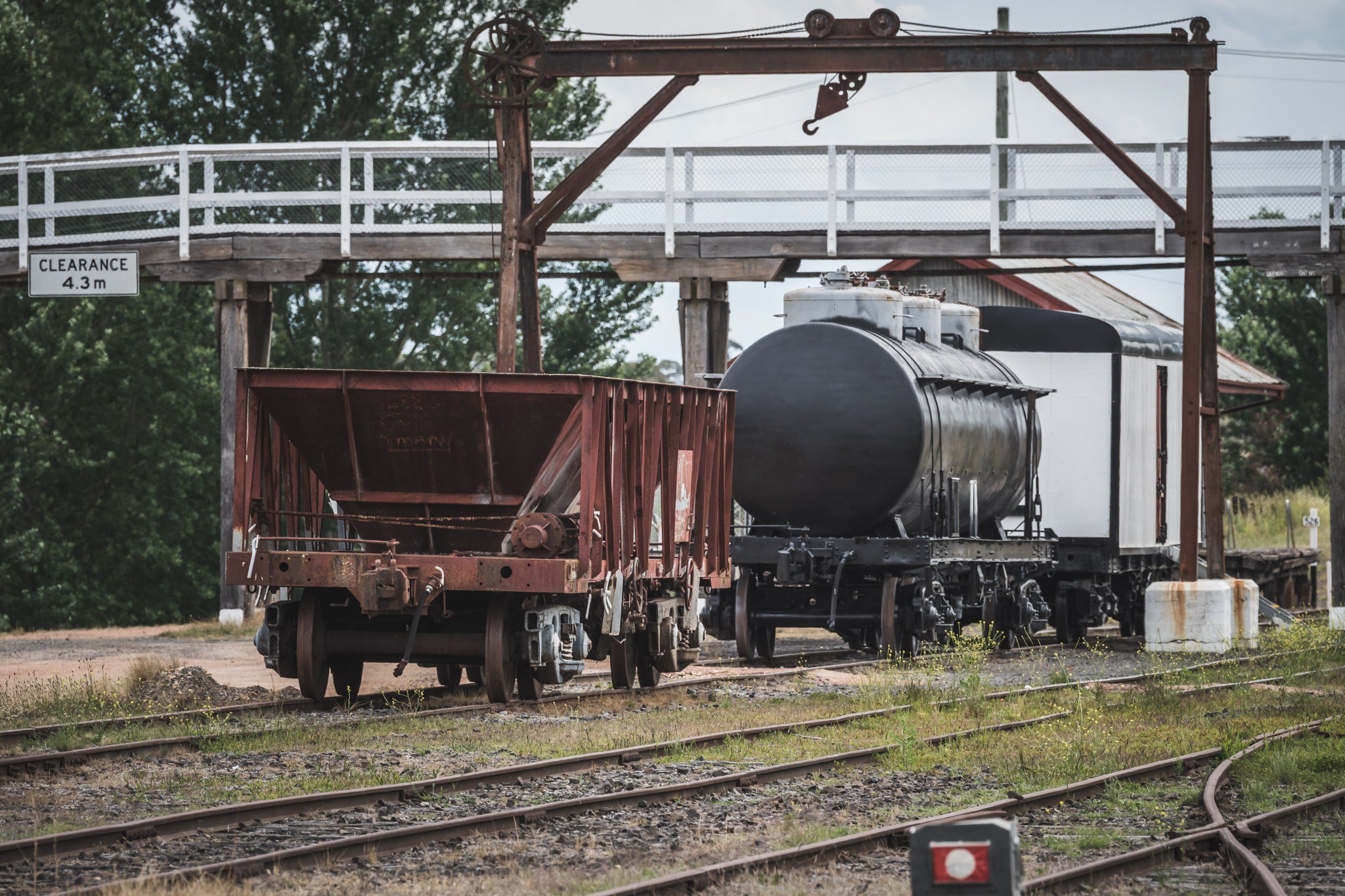 Gantry Crane at Bombala Station, a rusted gantry crane straddles the siding, its steel hook hanging slack above the wagons.