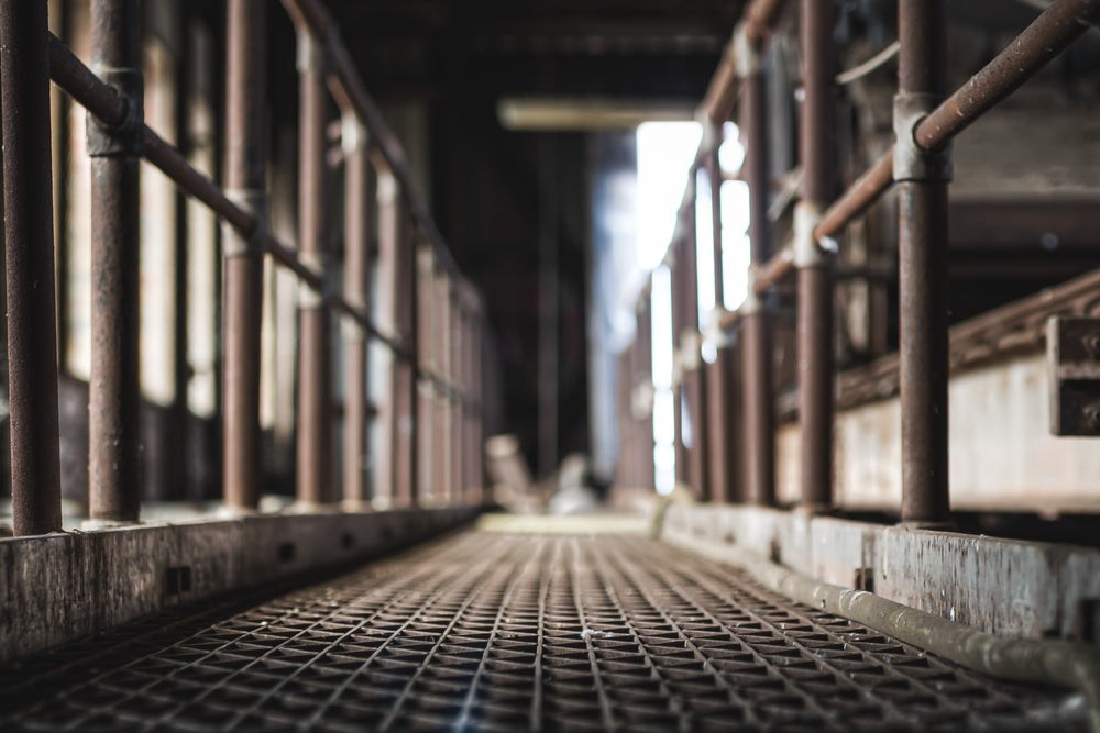 A grated metal walkway recedes into shadow inside the former Davies Coop / Bradmill factory at Yarraville, flanked by rusting tubular handrails, with strips of daylight falling through narrow wall gaps on the right.