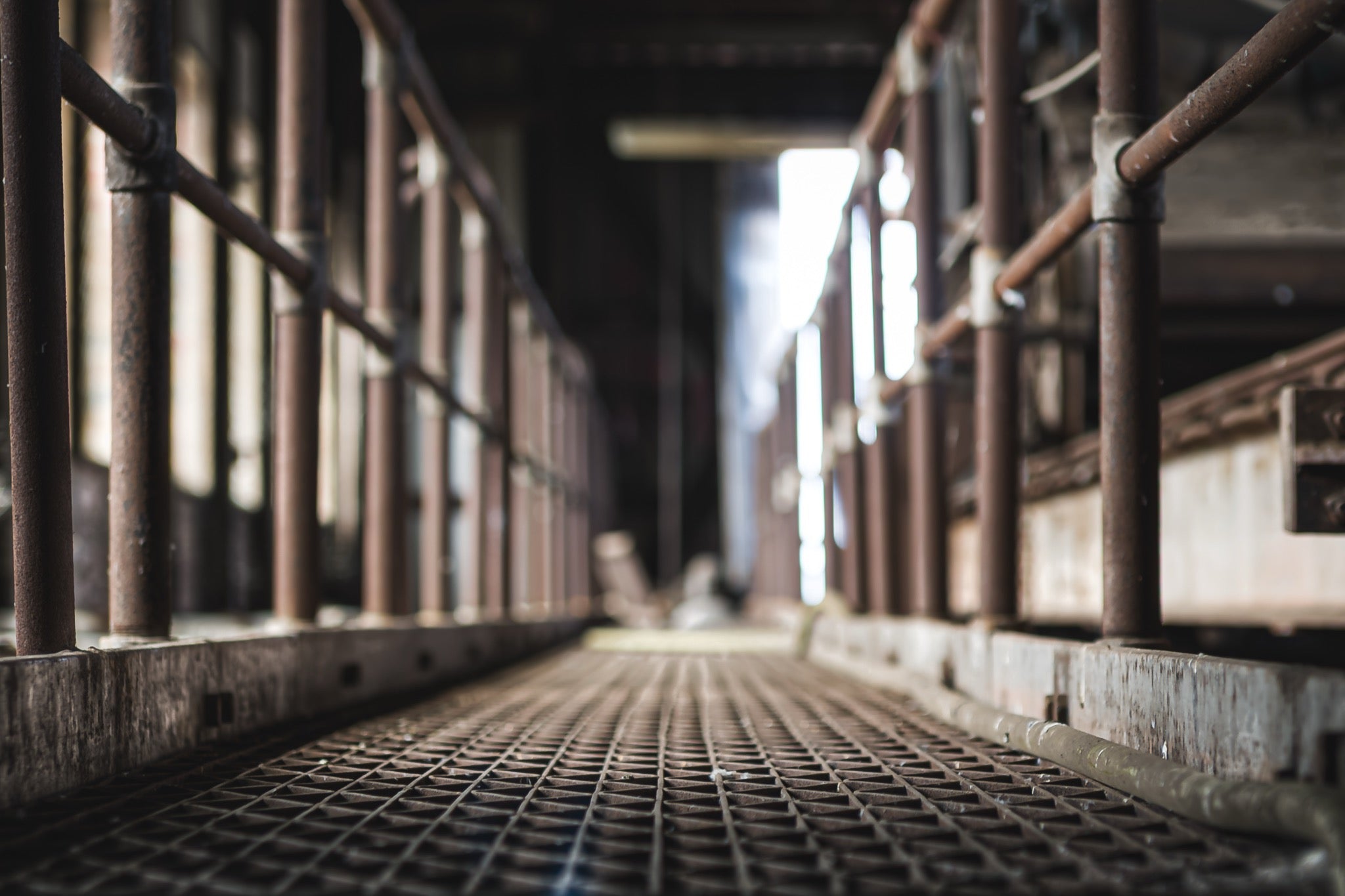 A grated metal walkway recedes into shadow inside the former Davies Coop / Bradmill factory at Yarraville, flanked by rusting tubular handrails, with strips of daylight falling through narrow wall gaps on the right.