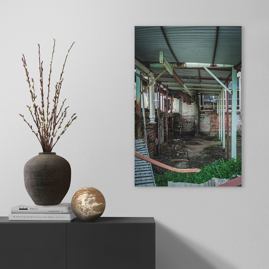 Rusting steel-framed canopy over a derelict brick interior at the former Davies Coop / Bradmill factory in Yarraville, with exposed pipework, a coiled hose and weeds encroaching on the concrete floor.