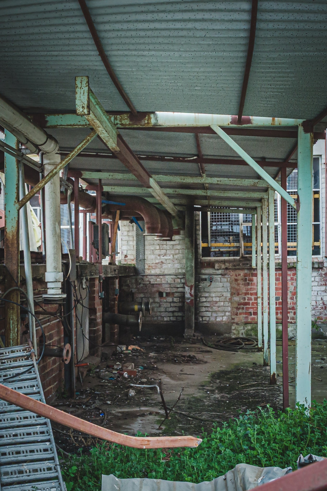 Rusting steel-framed canopy over a derelict brick interior at the former Davies Coop / Bradmill factory in Yarraville, with exposed pipework, a coiled hose and weeds encroaching on the concrete floor.