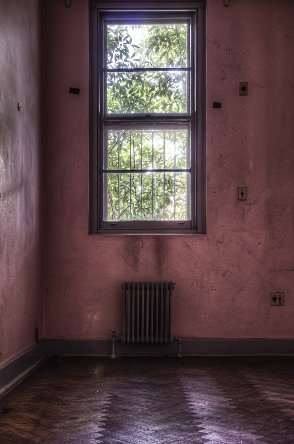Pink Room