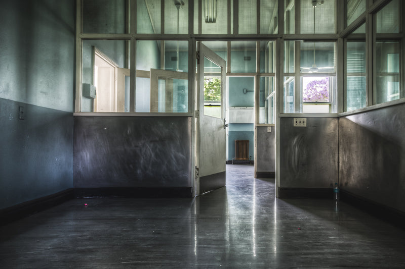 Rehabilitation Rooms at Callan Park, you can see the old wire mesh windows and a beautiful brightly lit Jacaranda out.