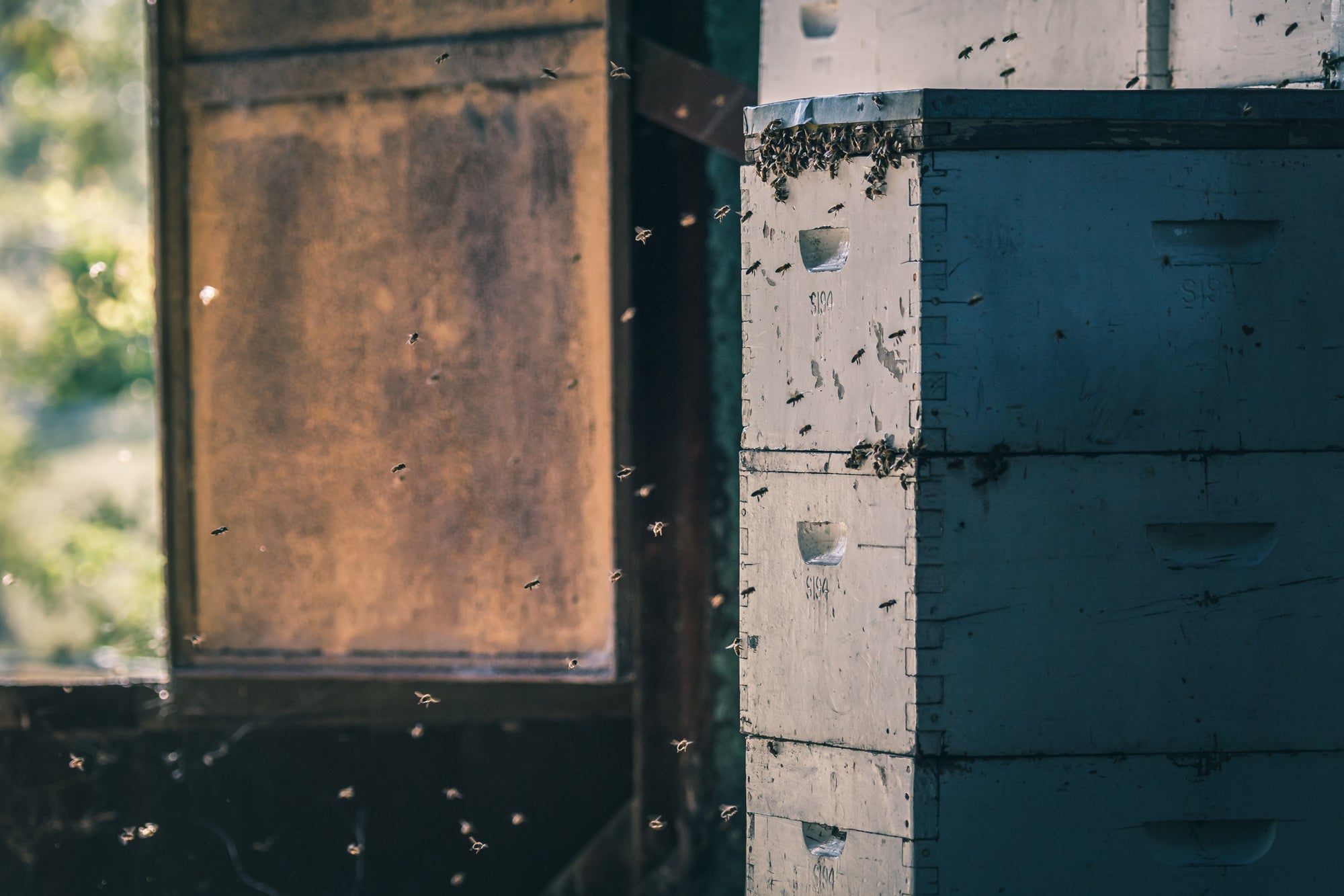 Beehives Closeup.
