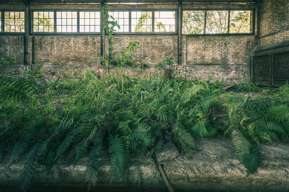Carpentry Workshop Garden.