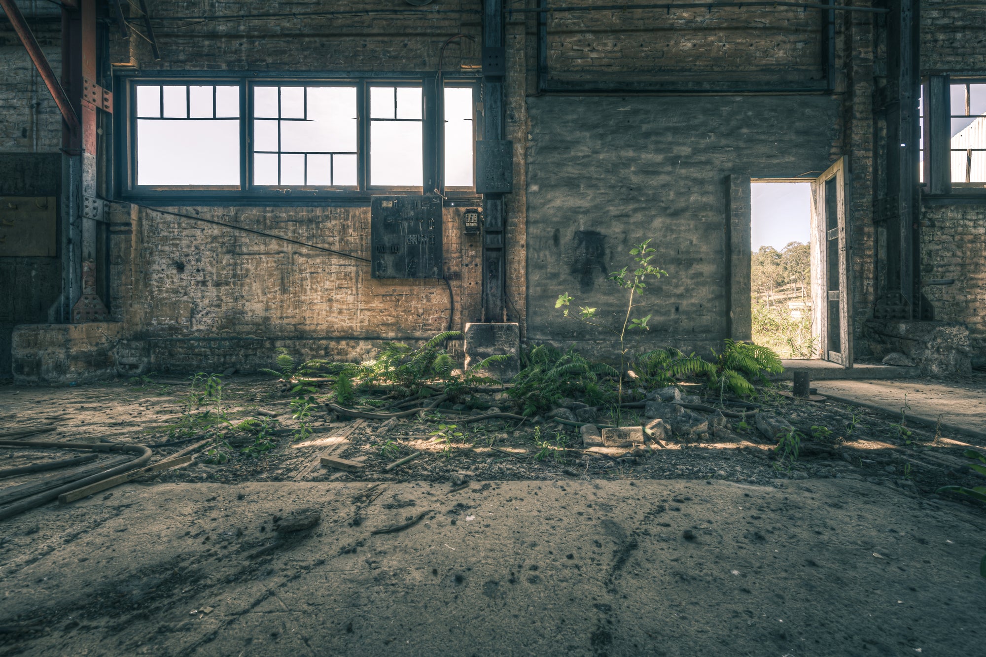 Machine Shop Garden.