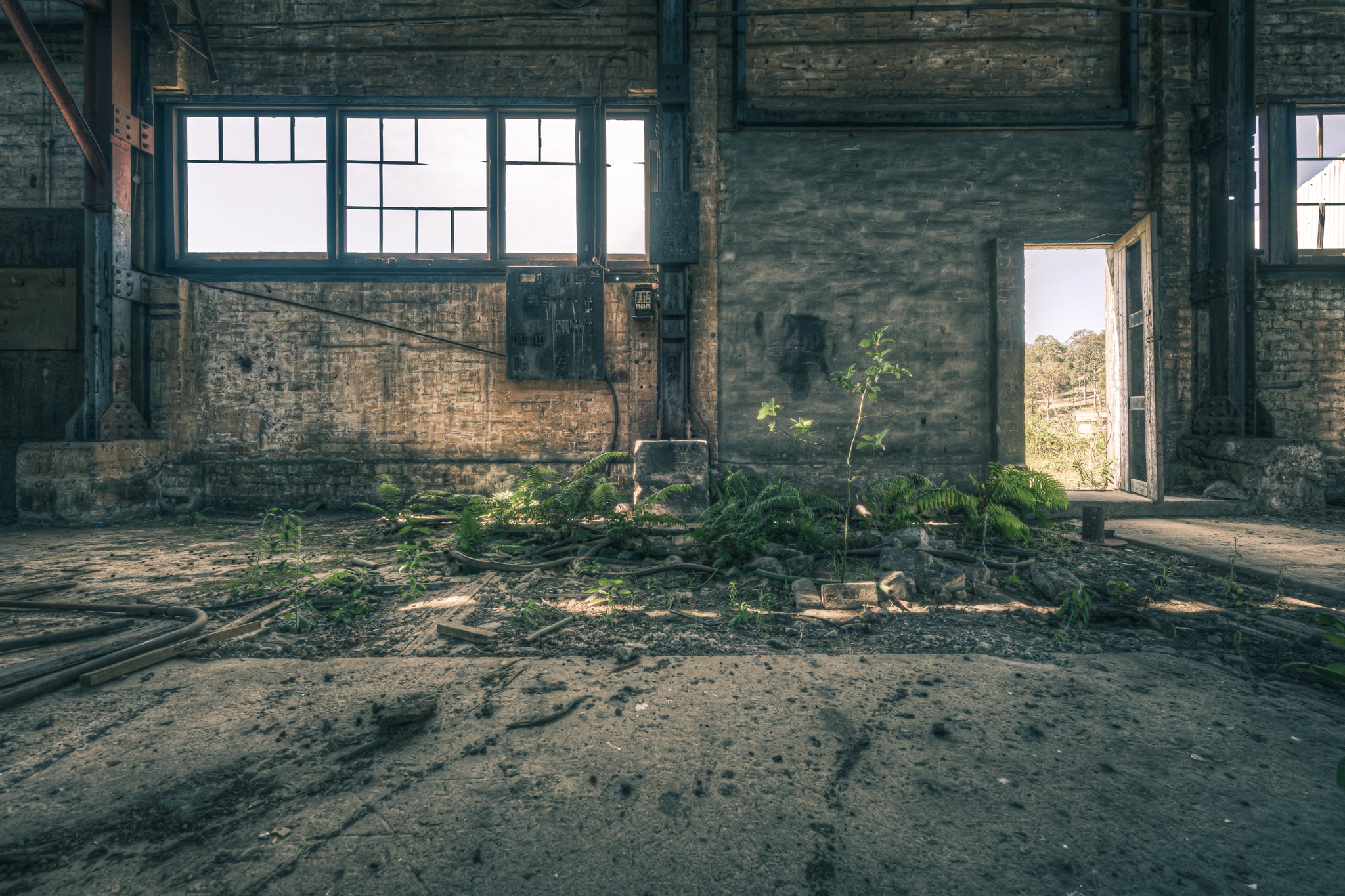 Machine Shop Garden.