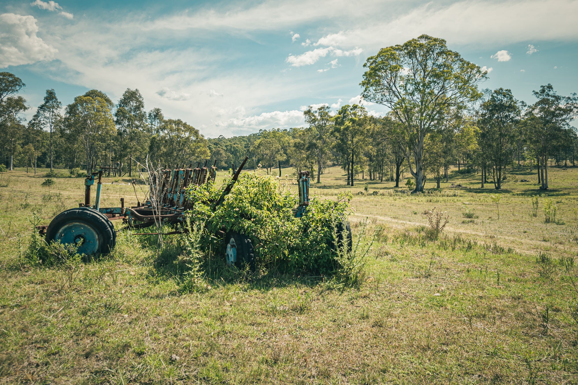 Overgrown Plough.