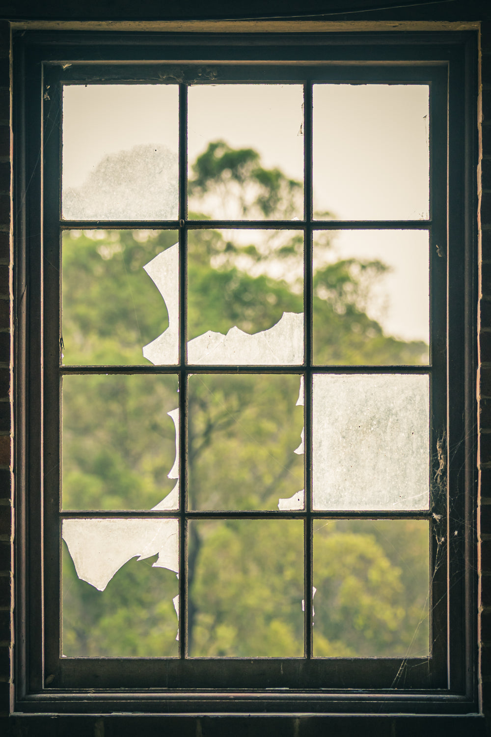 Window.