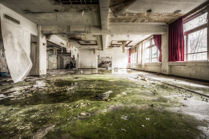 Cafeteria at Family School Fureai, the floor of the former dining area has taken on green tinge from the algae growing.