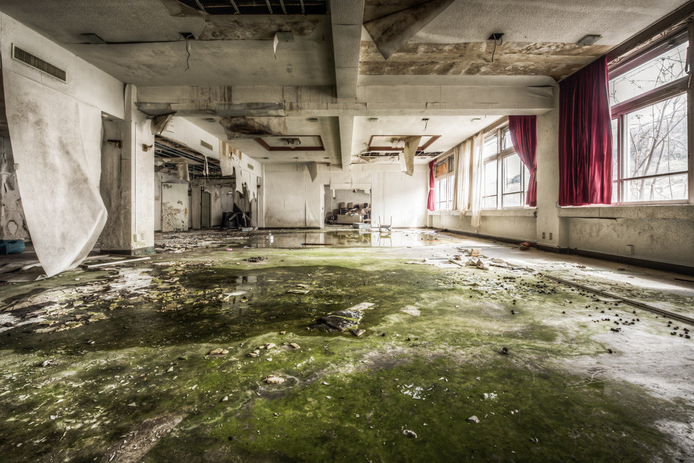 Cafeteria at Family School Fureai, the floor of the former dining area has taken on green tinge from the algae growing.