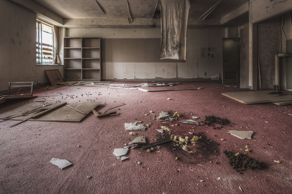 Carpeted Room at Family School Fureai, faded red carpet covers the floor of a large common room.