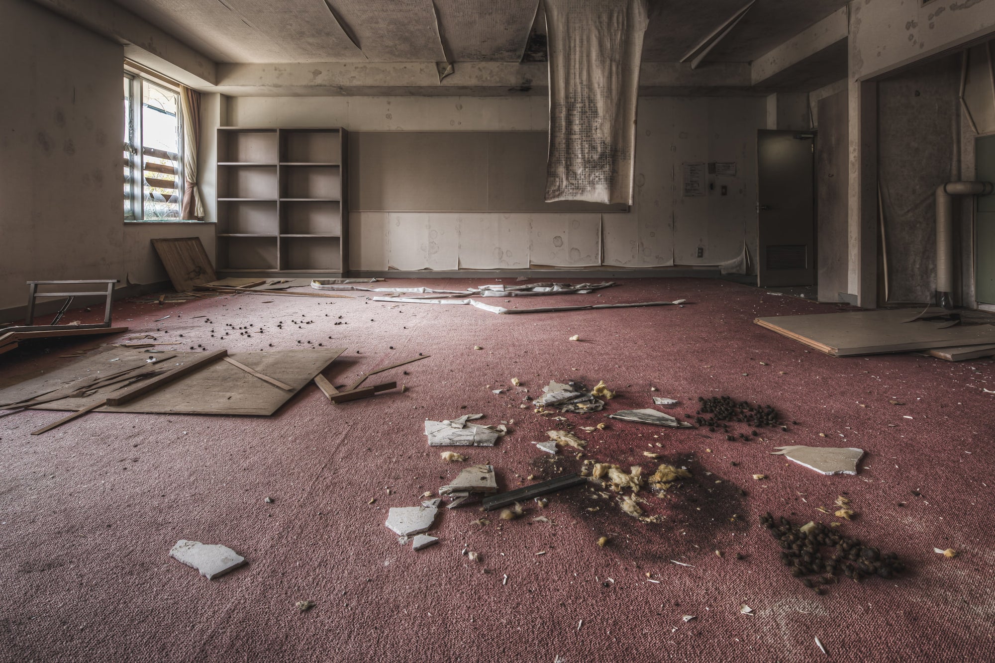 Carpeted Room at Family School Fureai, faded red carpet covers the floor of a large common room.