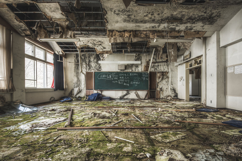 Moss Carpet at Family School Fureai, this former classroom has been severely damaged by water ingress through the ceiling.