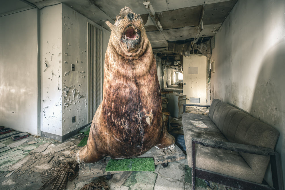 Seal Of Approval at Family School Fureai, a taxidermied brown bear sits upright on a small rectangle of artificial turf.