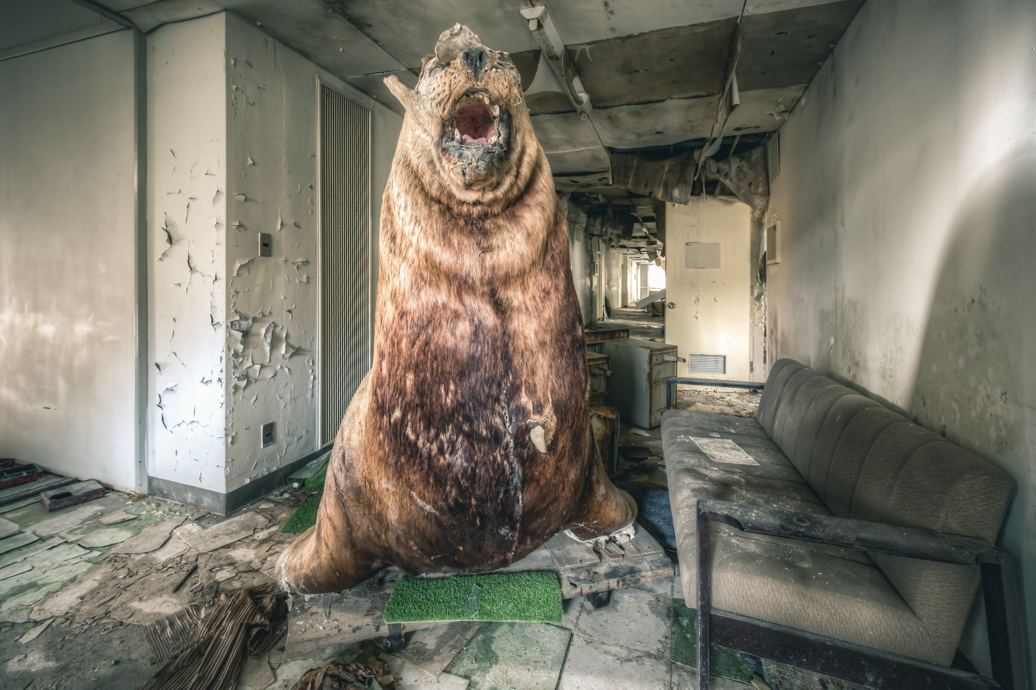Seal Of Approval at Family School Fureai, a taxidermied brown bear sits upright on a small rectangle of artificial turf.