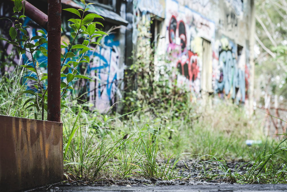 Walkway at Hornsby Quarry, a rusted steel planter sits at ground level beside a narrow walkway.