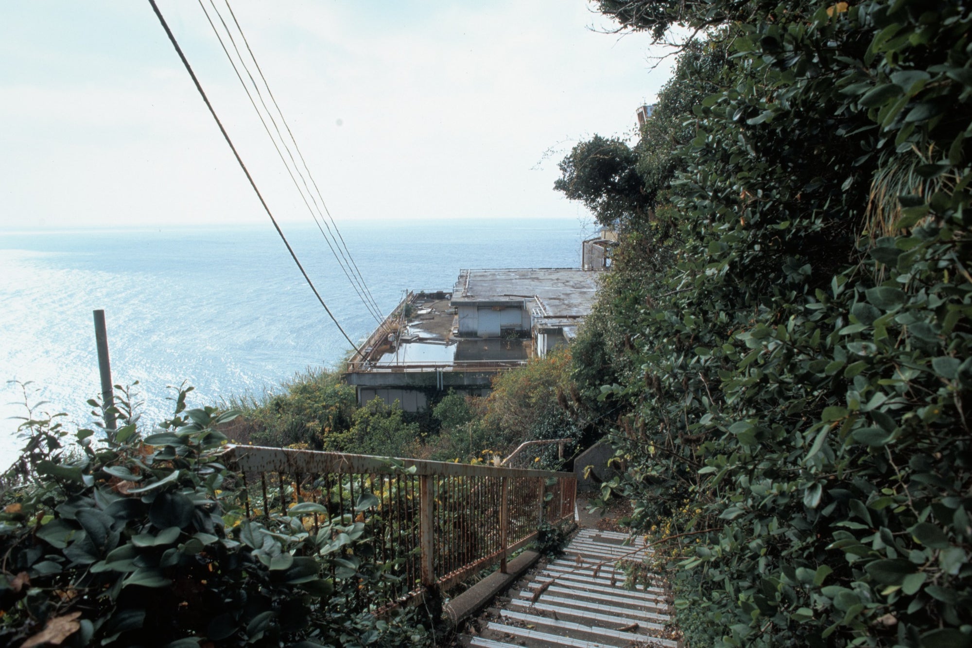 A steep concrete staircase with a rusted railing descends through dense green foliage at Ikeshima, with power lines crossing a bright sky and the sea visible below.