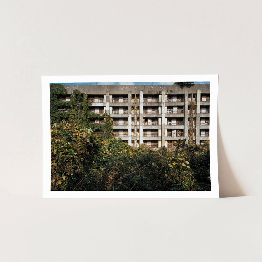 Reinforced-concrete apartment block on Ikeshima, lower storeys engulfed by green ivy and dried vines clinging to the central pillar, upper levels showing spalling and weathered balconies across five storeys.
