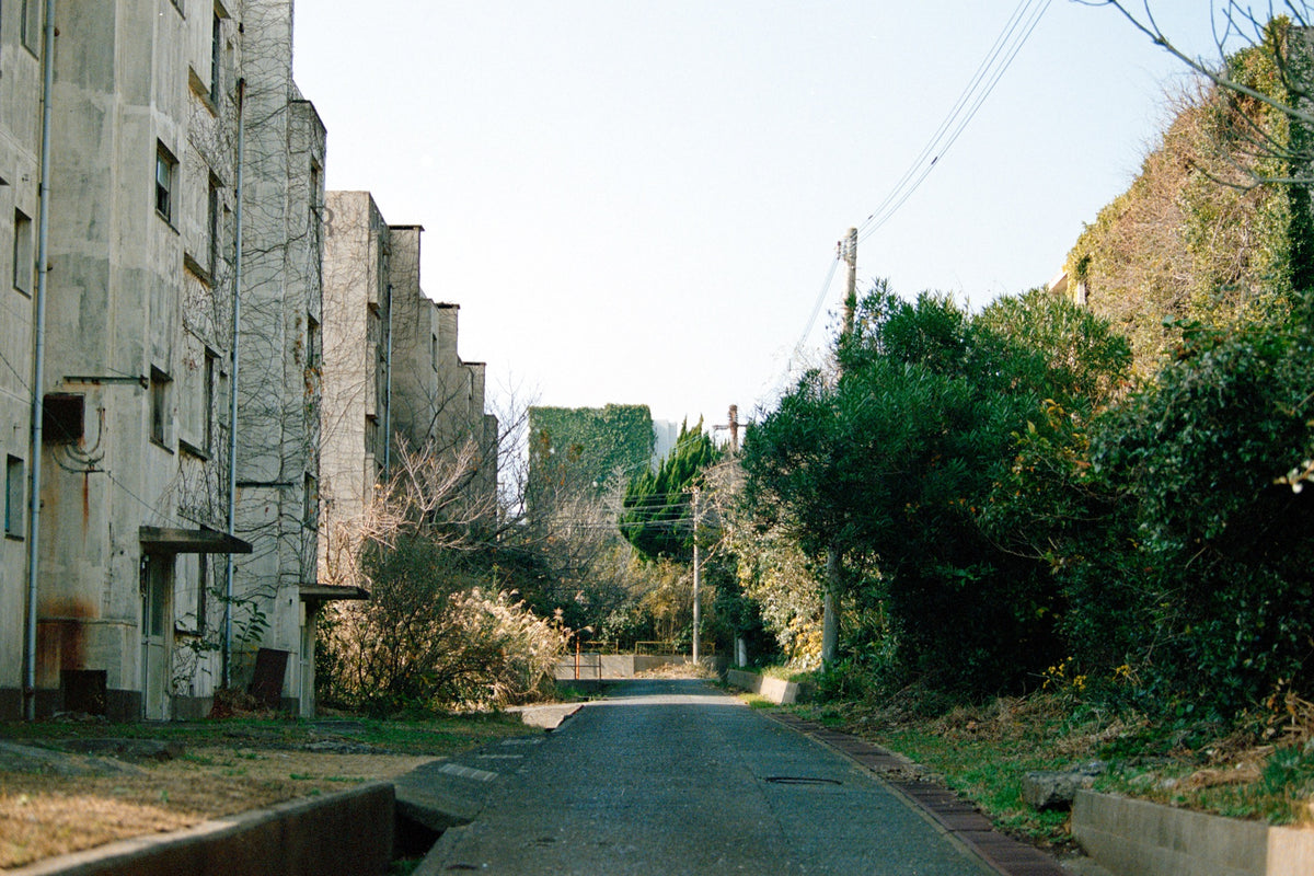 An empty asphalt road on Ikeshima runs between five abandoned reinforced-concrete apartment blocks with dry vines across their faces and a steep, heavily vegetated embankment, a single utility pole midway along the quiet street.