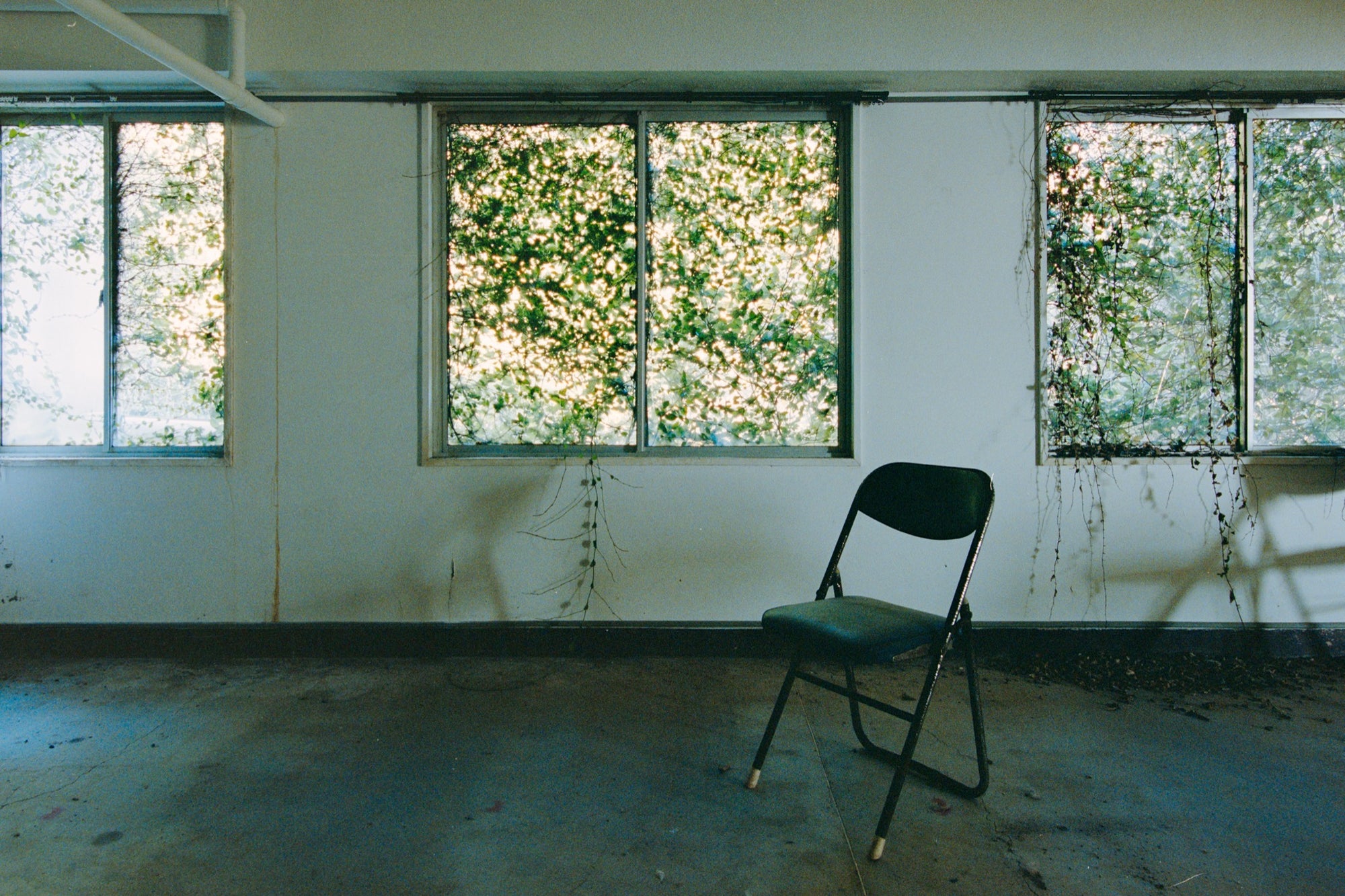 A dark green folding chair on a dusty concrete floor faces three large windows thick with green foliage, with vine tendrils trailing down the white wall beside water stains, in an office at the Ikeshima Coal Mine.