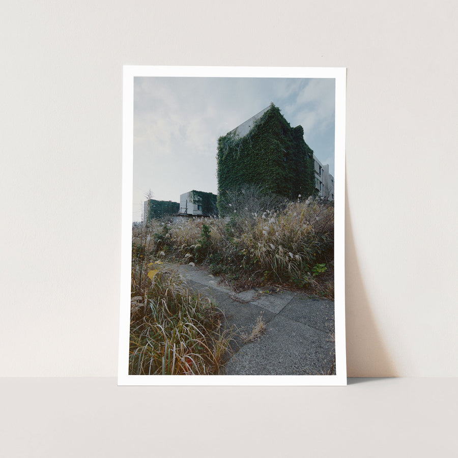 An ivy-covered reinforced-concrete apartment block at Ikeshima, its storeys barely visible beneath dense dark green growth, with dry feathery grasses along a concrete path in the foreground.