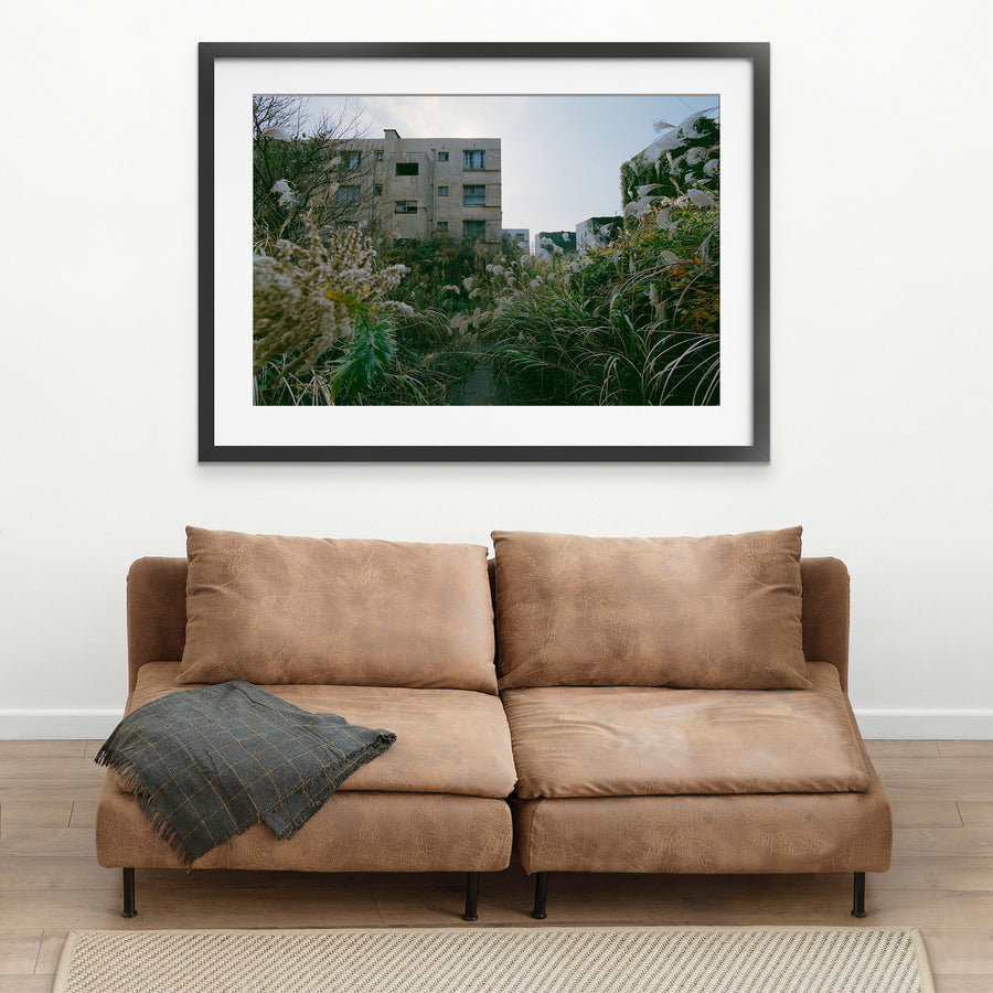 Pampas grass and miscanthus growing against two disused reinforced-concrete apartment blocks at Ikeshima, their upper windows open and one block largely covered in ivy.