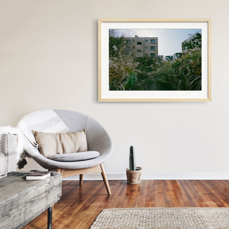 Pampas grass and miscanthus growing against two disused reinforced-concrete apartment blocks at Ikeshima, their upper windows open and one block largely covered in ivy.