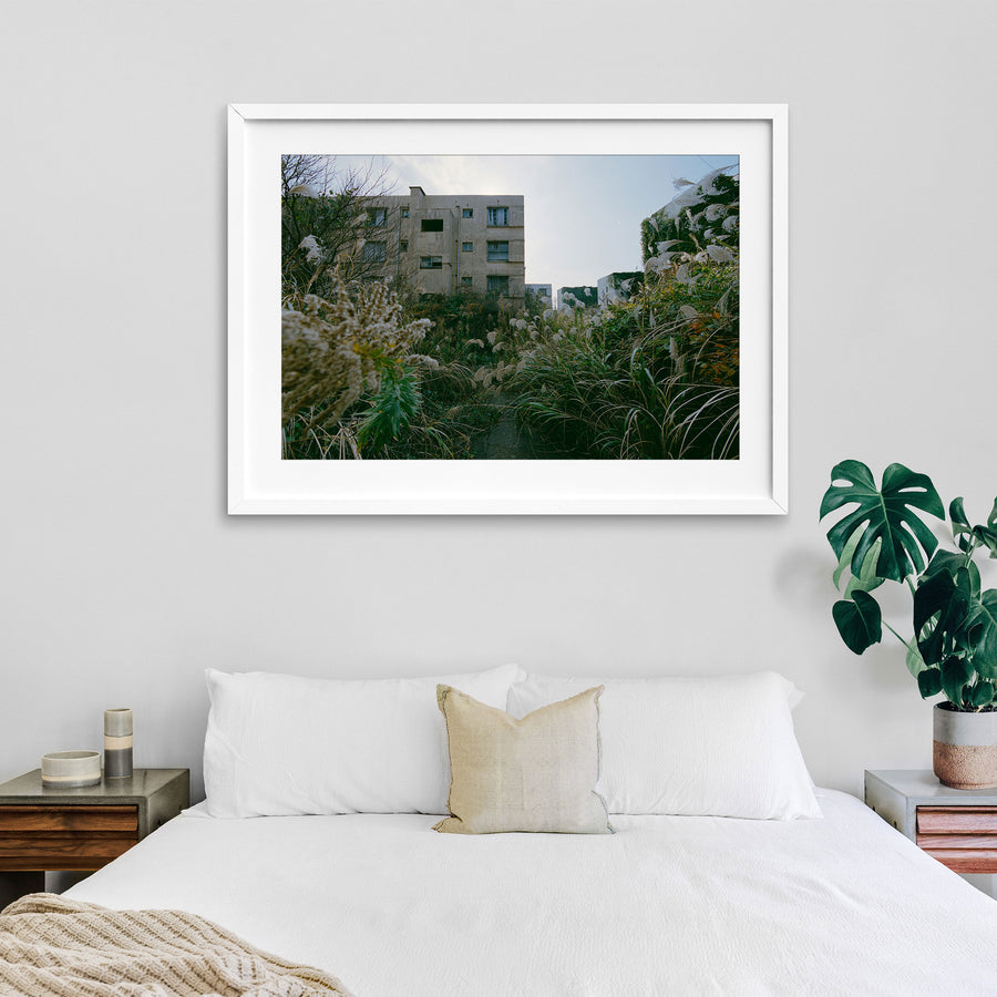 Pampas grass and miscanthus growing against two disused reinforced-concrete apartment blocks at Ikeshima, their upper windows open and one block largely covered in ivy.