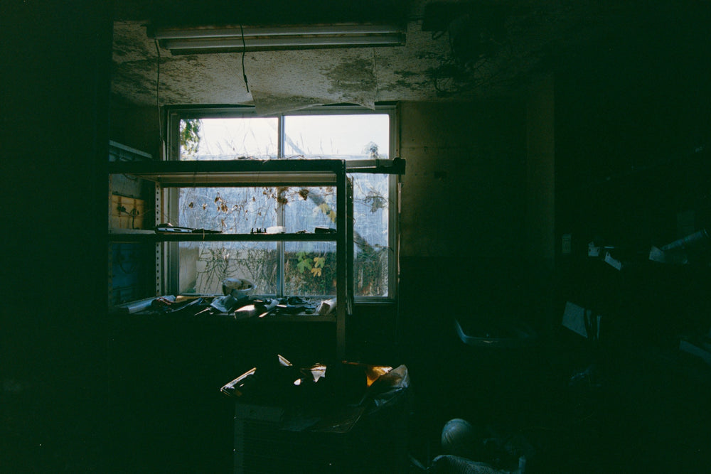 Store room in the No. 2 Shaft office at Ikeshima Coal Mine, steel shelving against a window with dead vines across the glass.