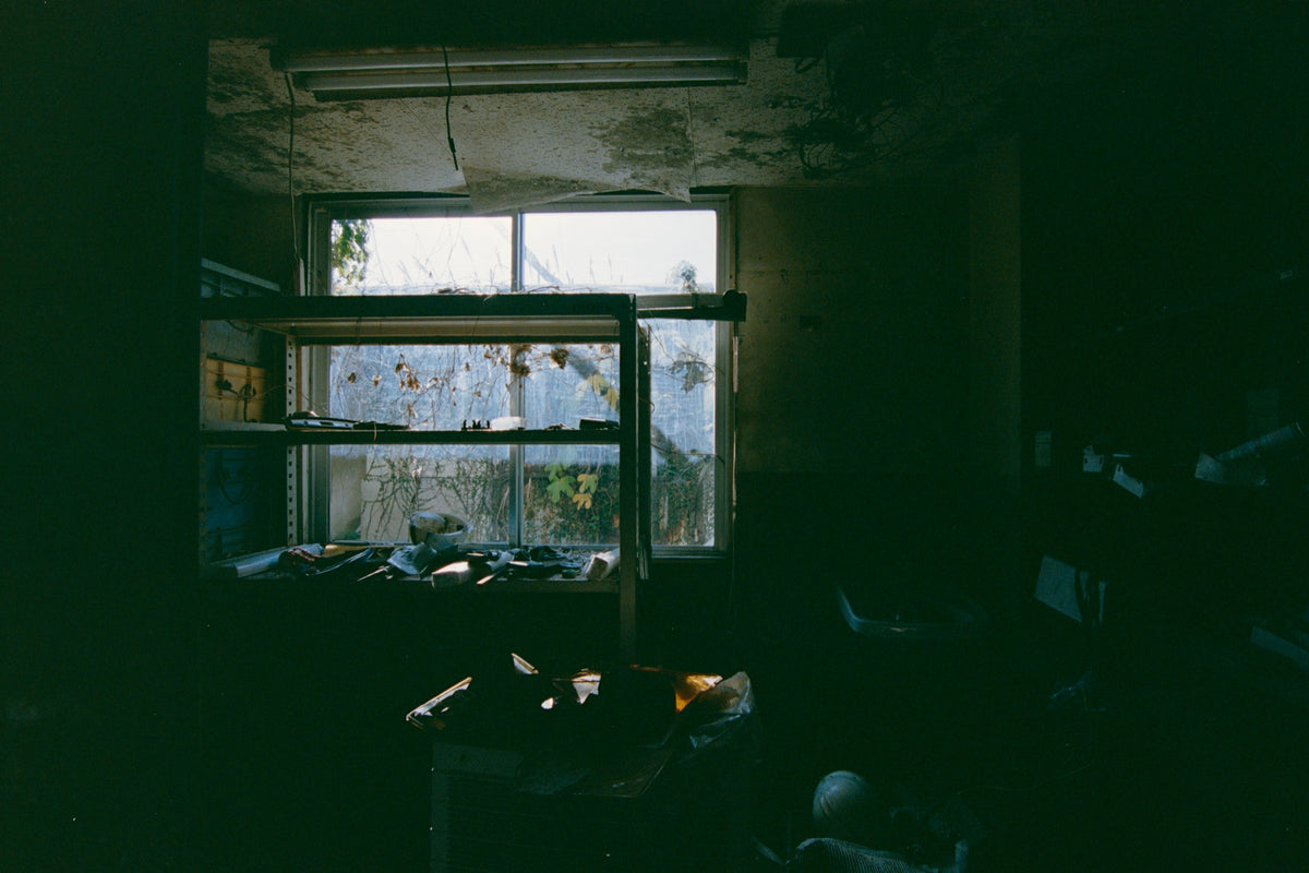 A metal shelving unit stands before a multi-pane window at Ikeshima Coal Mine, vines pressing against the grimy glass outside, with papers and ceramic objects scattered across the shelves and floor.