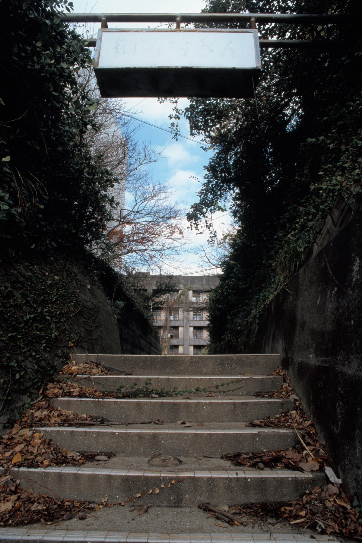 Concrete steps rise between ivy-covered and bare retaining walls at Ikeshima, a worn white sign frame hanging above the lower treads and power lines crossing a blue sky overhead.